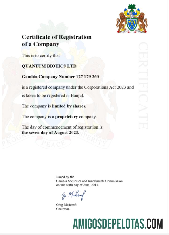 Certificado de registro da Gâmbia em branco modelo Word e PDF